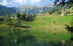 ©Der Seewaldsee Bummelzug in Fontanella