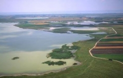 ©www.nationalpark-neusiedlersee-seewinkel.at