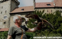 ©Adlerwarte Burg Kreuzenstein - Akrobaten der Luft