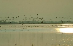 ©nationalpark-neusiedlersee-seewinkel.at