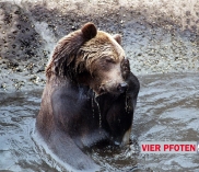 ©Abenteuer im Bärenwald Arbesbach