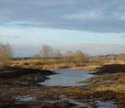 ©Foto: Land Salzburg – Naturschutzabteilung