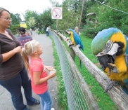 ©Vogelpark_Papagei_3