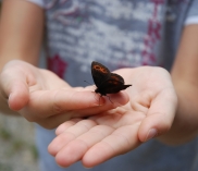 ©Waldführungen für Schulklassen im Lainzer Tiergarten