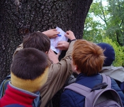 ©Schulführungen im Botanischen Garten Wien