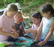 ©Nationalpark Purkersdorf
