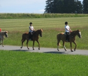 ©reiten-im-waldviertel.at