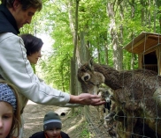 ©Schulausflug in den Tierpark Haag