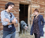 ©Trüffelschweine im Theater Akzent in Wien