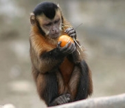 ©Zoo Salzburg