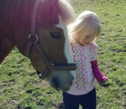 ©kinderreitkurse.at