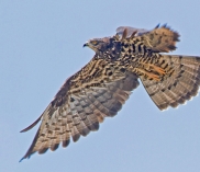 ©www.naturparkdobratsch.info