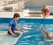 Gewinne Goodies zum Film "Mein Freund der Delfin 2"
