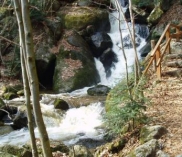 ©Druidenweg_Ysperklamm_Niederösterreich