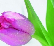 ©naturimgarten.at