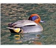 ©bundesforste.at