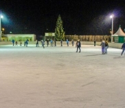 ©fzz-perchtoldsdorf.at/de/eisarena