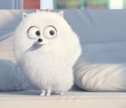 Gewinne Goodie-Packs zum Filmstart von "PETS" 3D