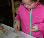 ©kidsbus.at/