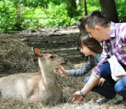 ©kidsbus.at/