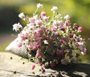©falkenhof-heldenberg.com