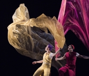 ©cirque-noel.at