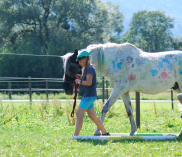 ©listening-horses.at