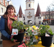 ©stadtmarketing-krems.at
