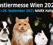 ©haustiermesse.info