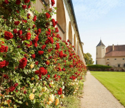 ©Renaissanceschloss Rosenburg