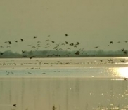 ©nationalpark-neusiedlersee-seewinkel.at