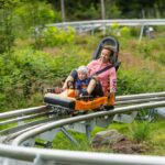Ein Erwachsener und ein Kind fahren gemeinsam in einem orangefarbenen Alpine-Coaster-Wagen auf einer Metallschiene durch eine grüne, bewaldete Gegend.