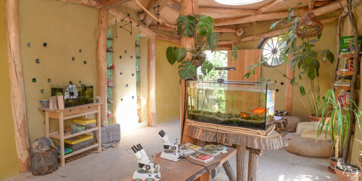 Ein sonnendurchfluteter Raum mit Holzbalken, einem Fischbecken, Mikroskopen auf einem Tisch, verschiedenen Pflanzen, Regalen mit Büchern und runden Fenstern in den Wänden.