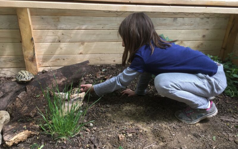 Ein Mädchen greift nach einem Stück Holz.