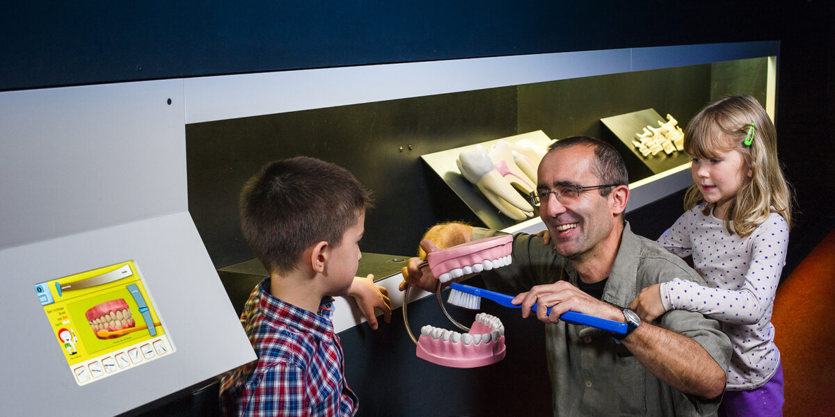 Ein Erwachsener kniet neben zwei Kindern und demonstriert das Zähneputzen an einem großen Zahnmodell mit einer riesigen Zahnbürste in einer Museumsausstellung.