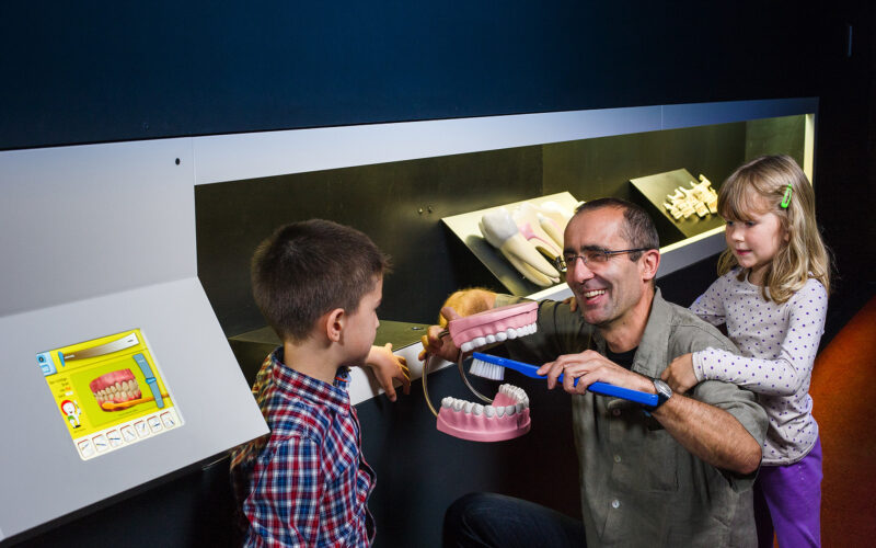 Ein Erwachsener kniet neben zwei Kindern und demonstriert das Zähneputzen an einem großen Zahnmodell mit einer riesigen Zahnbürste in einer Museumsausstellung.