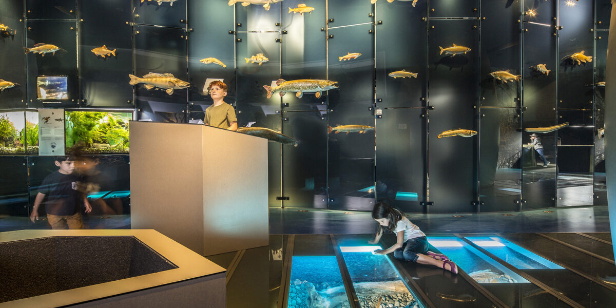 Die Kinder betrachten Fische und Dioramen in einer modernen Aquarienausstellung, wobei ein Kind durch einen Glasboden schaut.