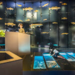Die Kinder betrachten Fische und Dioramen in einer modernen Aquarienausstellung, wobei ein Kind durch einen Glasboden schaut.