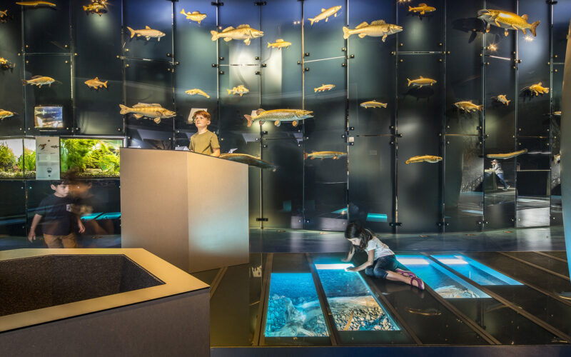 Die Kinder betrachten Fische und Dioramen in einer modernen Aquarienausstellung, wobei ein Kind durch einen Glasboden schaut.