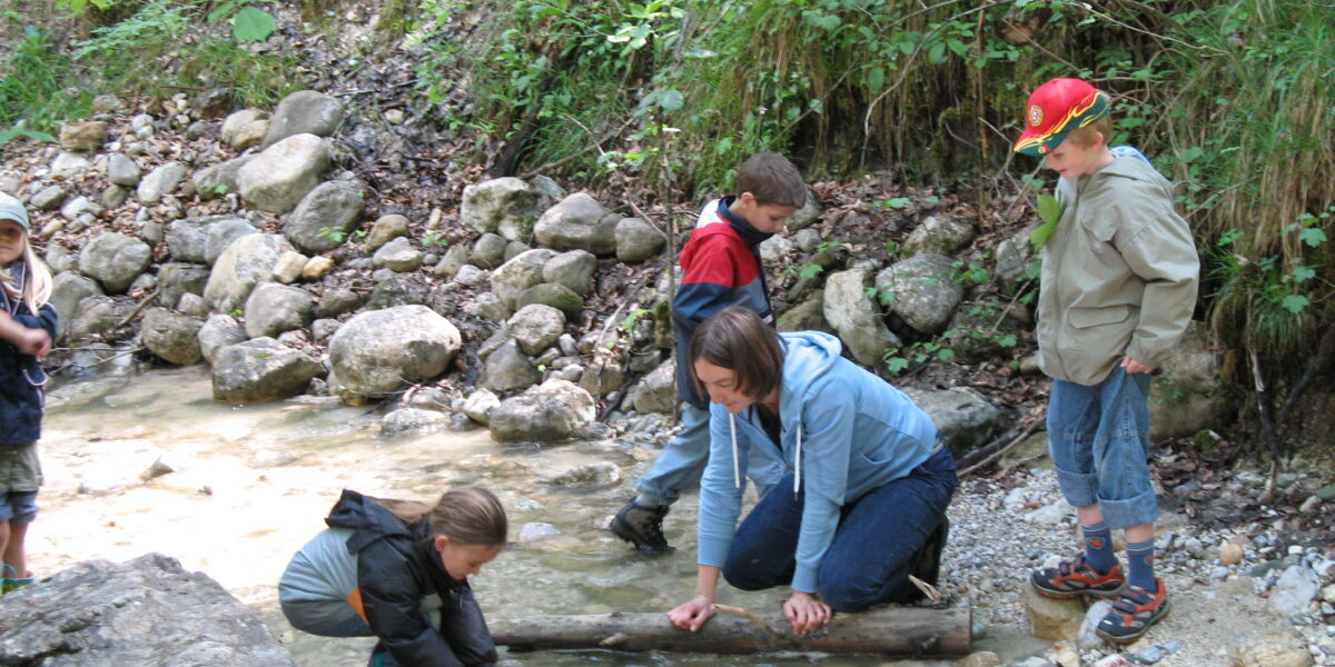 Ein Erwachsener und drei Kinder erkunden einen flachen, felsigen Bach in einem Waldgebiet und untersuchen das Wasser und die Felsen.