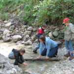 Ein Erwachsener und drei Kinder erkunden einen flachen, felsigen Bach in einem Waldgebiet und untersuchen das Wasser und die Felsen.