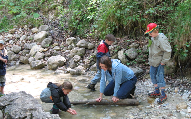 Ein Erwachsener und drei Kinder erkunden einen flachen, felsigen Bach in einem Waldgebiet und untersuchen das Wasser und die Felsen.