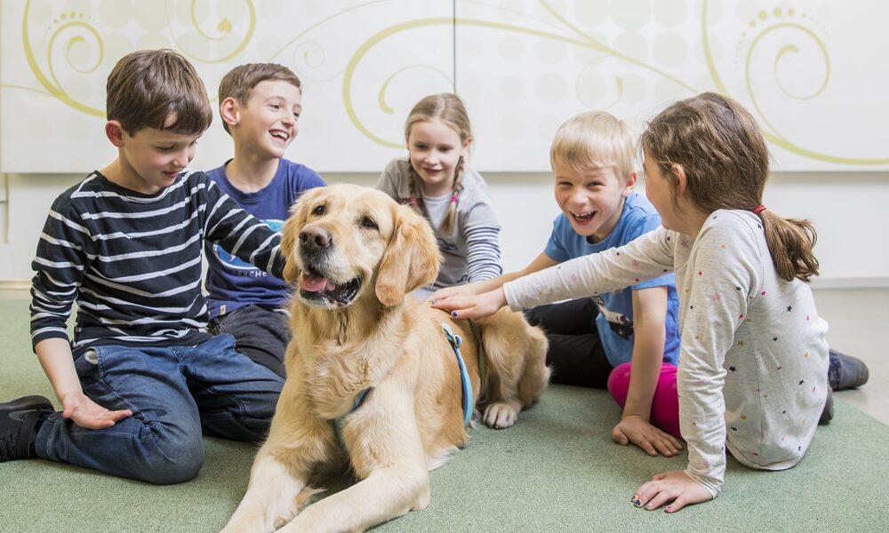 Fünf Kinder sitzen in einem Kreis auf dem Boden und streicheln einen großen Golden Retriever. Die Kinder wirken glücklich und beschäftigt mit dem Hund.
