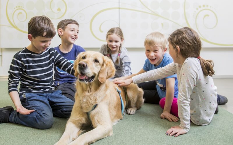 Fünf Kinder sitzen in einem Kreis auf dem Boden und streicheln einen großen Golden Retriever. Die Kinder wirken glücklich und beschäftigt mit dem Hund.