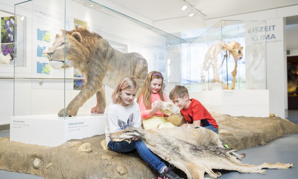Drei Kinder untersuchen Tierfelle auf dem Fußboden eines Museums, hinter denen in Vitrinen ein Höhlenlöwe und ein prähistorisches Wolfsmodell ausgestellt sind.