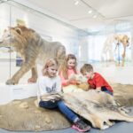 Drei Kinder untersuchen Tierfelle auf dem Fußboden eines Museums, hinter denen in Vitrinen ein Höhlenlöwe und ein prähistorisches Wolfsmodell ausgestellt sind.