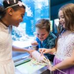 Drei Kinder in einem Aquarium berühren einen Hummer in einem Becken, lächeln und interagieren mit dem Meerestier in einer hell erleuchteten Innenumgebung.