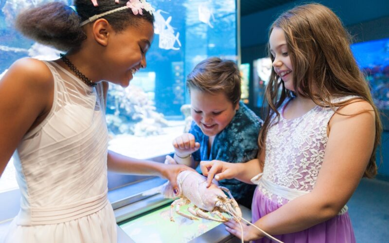 Drei Kinder in einem Aquarium berühren einen Hummer in einem Becken, lächeln und interagieren mit dem Meerestier in einer hell erleuchteten Innenumgebung.