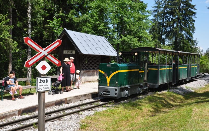 Ein kleiner grüner Zug hält in einem ländlichen Bahnhof mit wartenden Fahrgästen, umgeben von Bäumen und einem Bahnübergangsschild im Vordergrund.