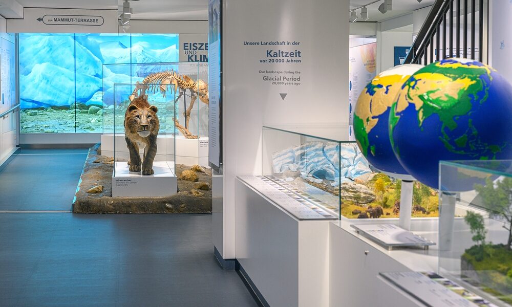 Im Museum gibt es eine Eiszeitausstellung mit einem Löwenmodell, einem Mammutskelett, Informationstafeln und einem großen Globus, der in der Nähe des Eingangs aufgehängt ist.